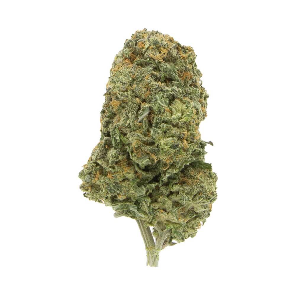 Alaskan Thunder Fuck (Sativa)