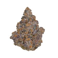 Black Cherry Gelato (Hybrid)