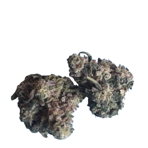 Blue Fanta Smalls (Hybrid)