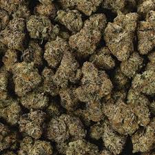 Cherry Gushers Smalls (Hybrid)