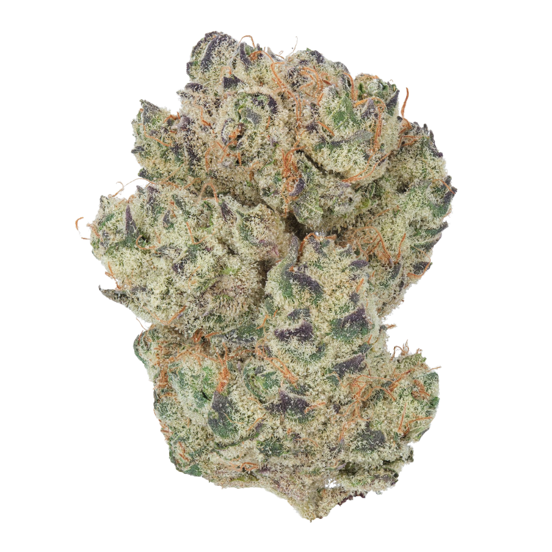 Chimera (Indica)