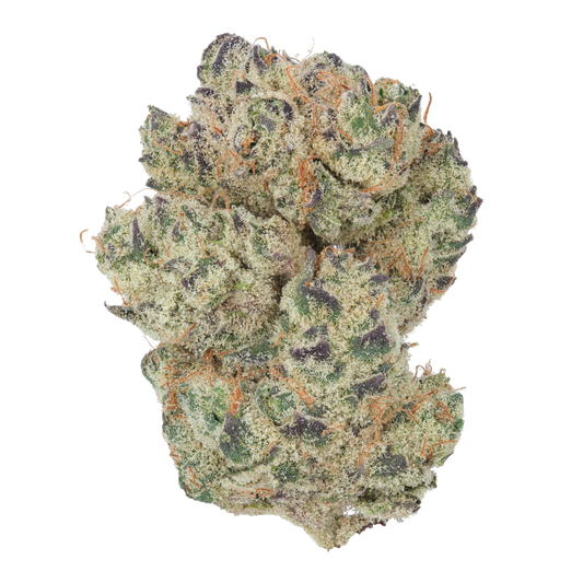 Chimera (Indica)