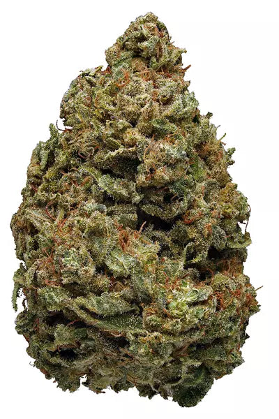 Dark Widow (Indica)