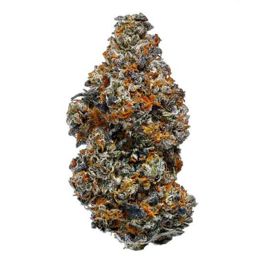DEATH COAST GUAVA (indica)