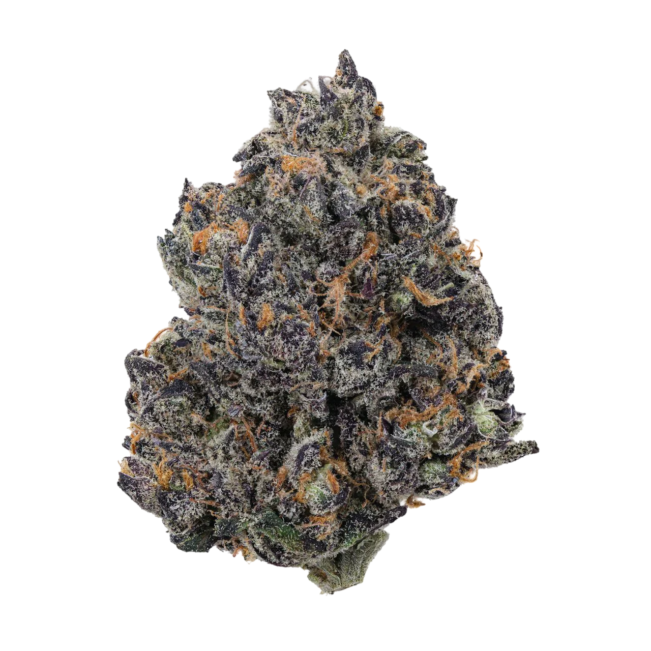Forbidden Tropic (hybrid)