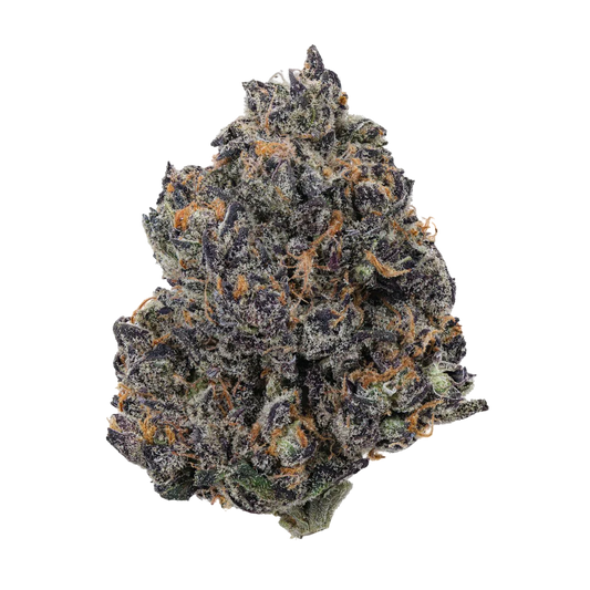 Forbidden Tropic (hybrid)