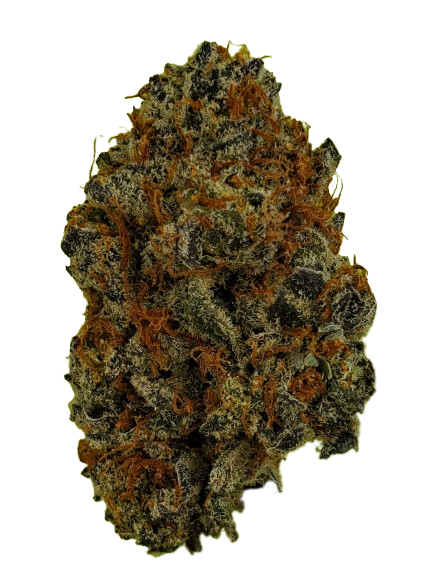 GORILLA CRASHER (indica)