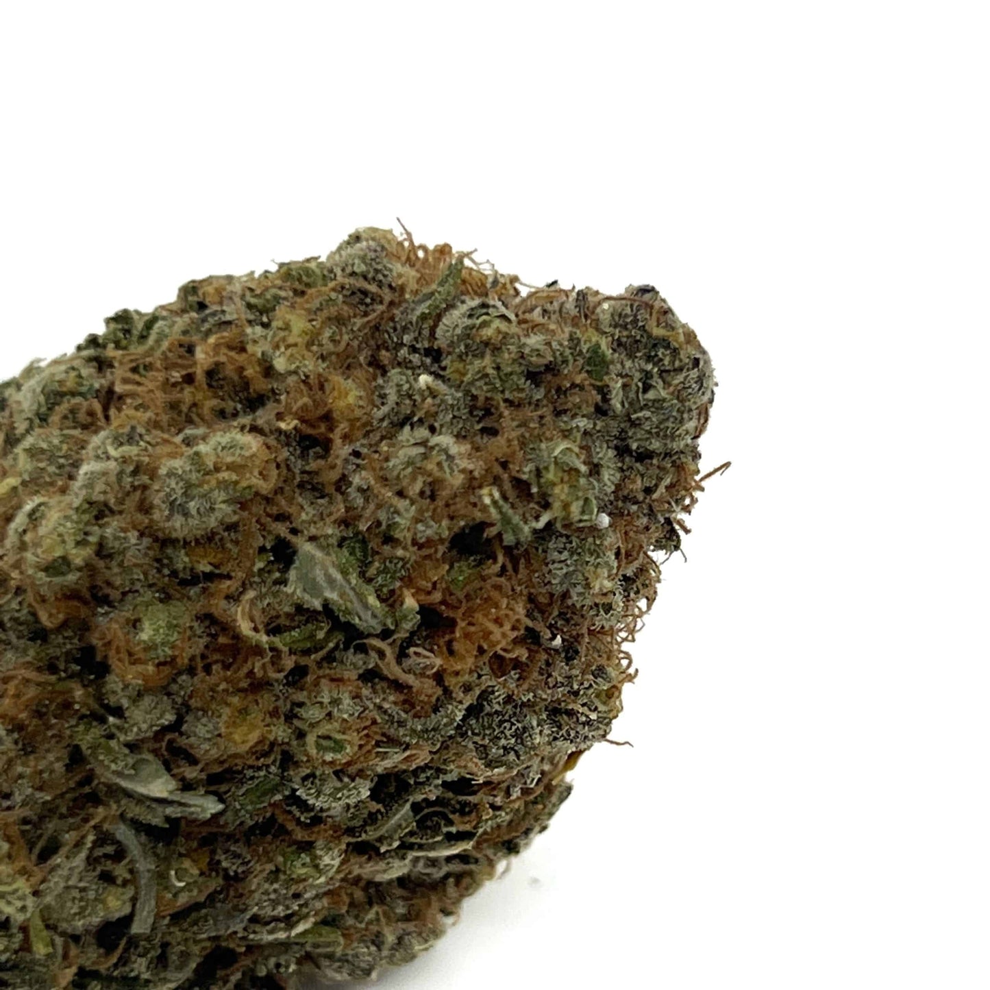 Gelato Gushers (Hybrid)