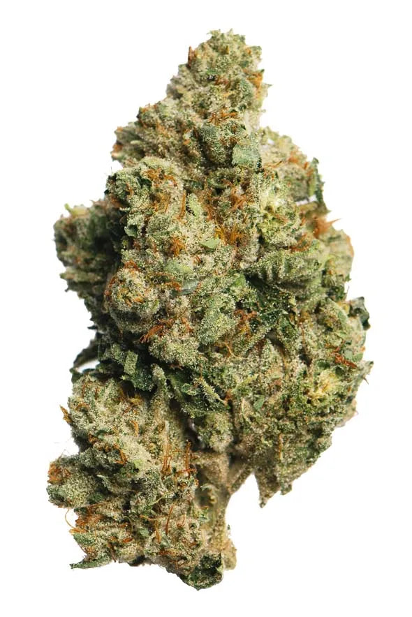 GMO#2 (indica)