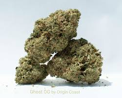 Ghost OG (Indica)