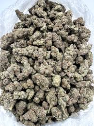 Glitter Bomb smalls (Hybrid)