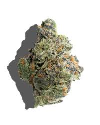 GMO (Hybrid)