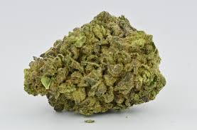 12TH MAN (Hybrid)