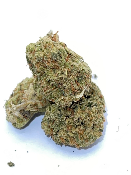 GUMBO (indica)