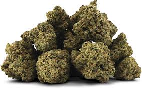 Honey Butter (Hybrid)