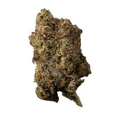 Ice Cream Cake (Hybrid)