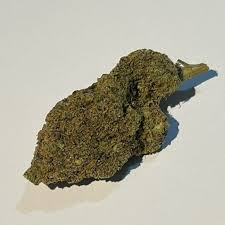 Gelato 33(Hybrid)