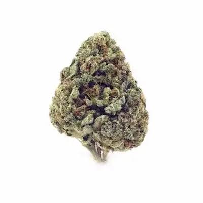 MATCHA (indica)