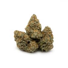 Italian Ice (Hybrid)