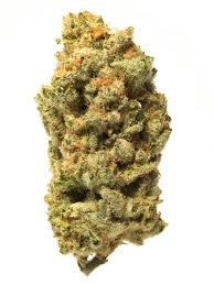 Lambs Breath (Sativa)