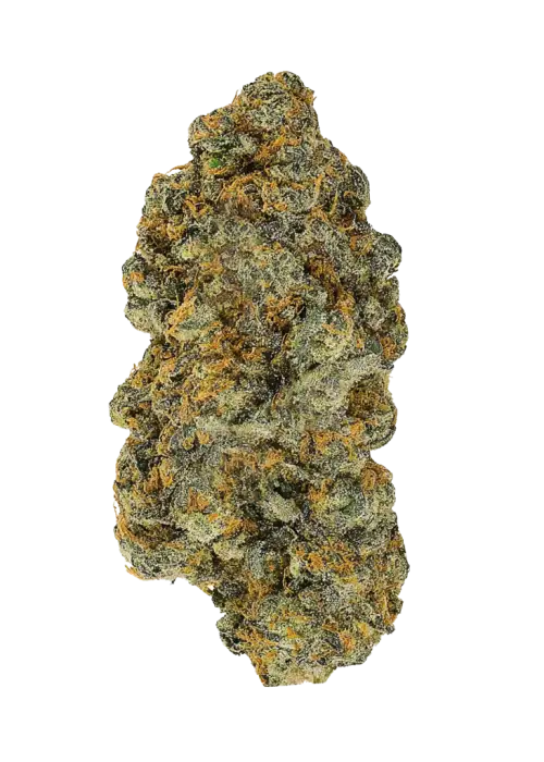 LEMON UME (Indica)