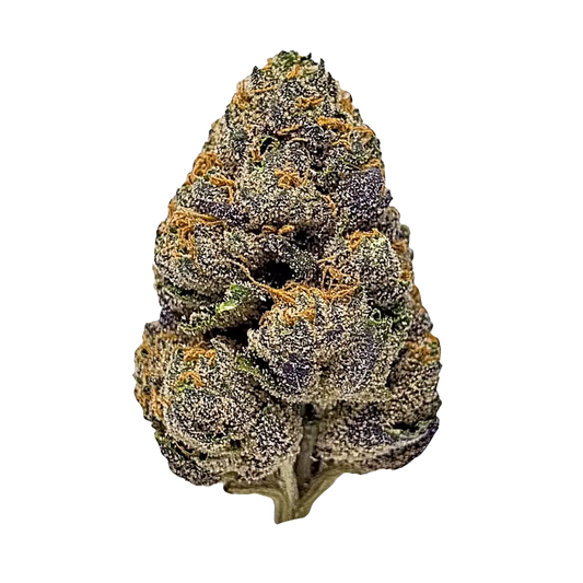 Lemon Purp (sativa)