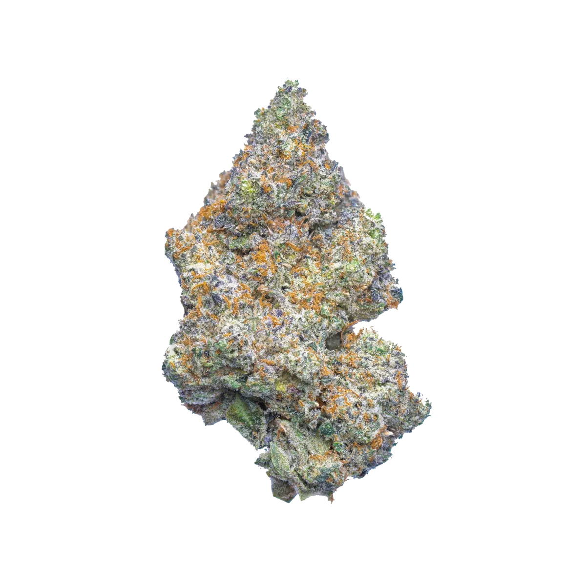Critical Mass  (indica)