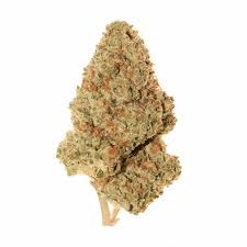 Maui Wowie (Sativa)