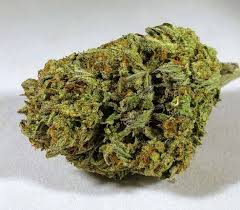 Monster Cookies (Indica)