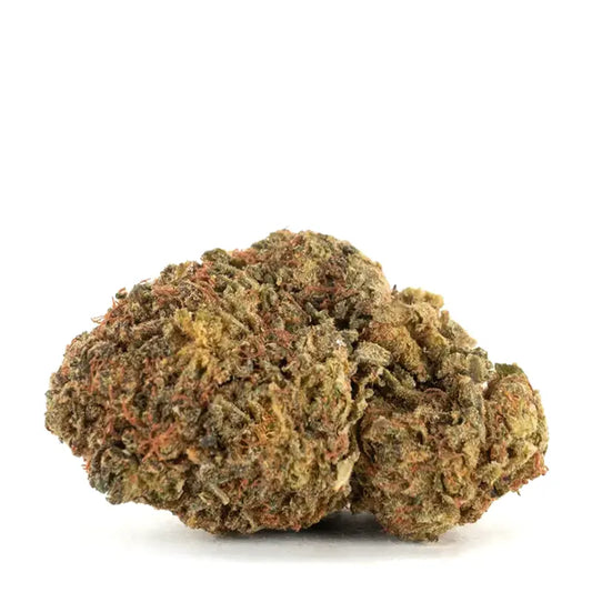 Pennywise  (indica)