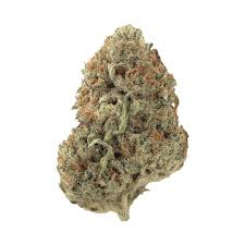 PINA COLADA (hybrid)