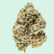 PINEAPPLE LIMADE (sativa)
