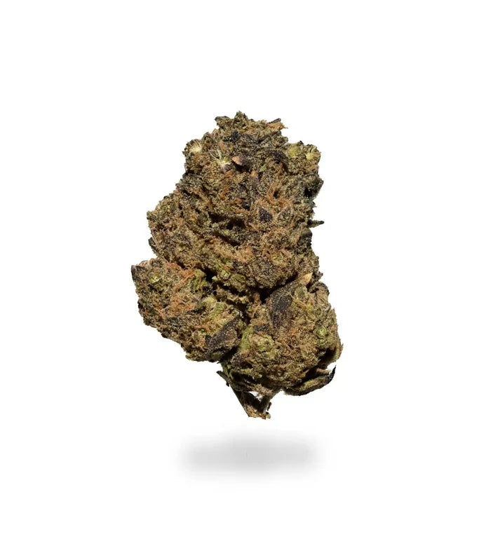 NAM BLACK (sativa)