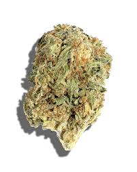 PMG (Sativa)