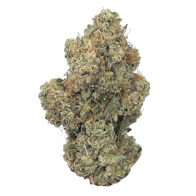 Sangria (Sativa)