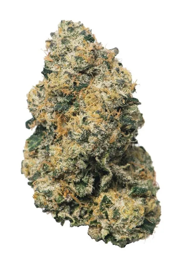 SHERBANGER (hybrid)