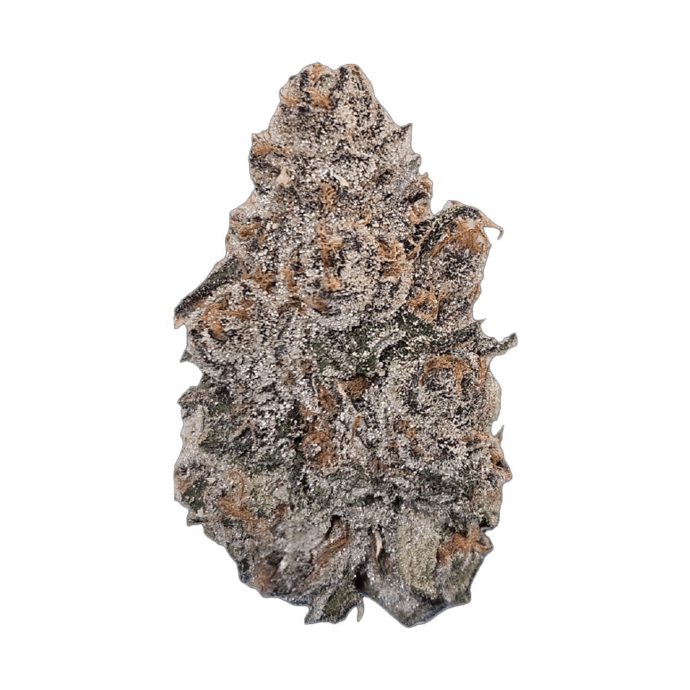 SHERB COCKTAIL (indica)