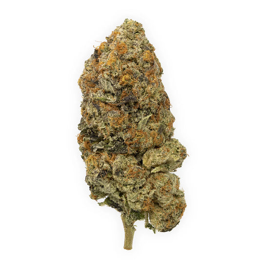 Slurricane (Hybrid)