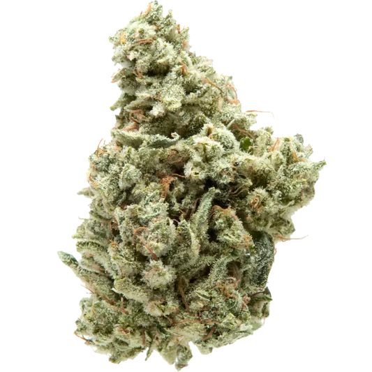 Sour Cookies  (sativa)