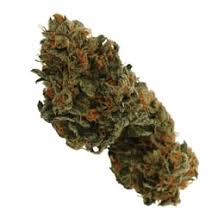 Sticky Glue (Hybrid)