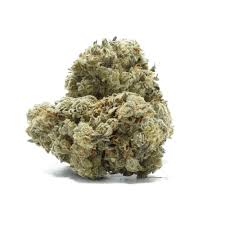 WHITE RHINO (hybrid)