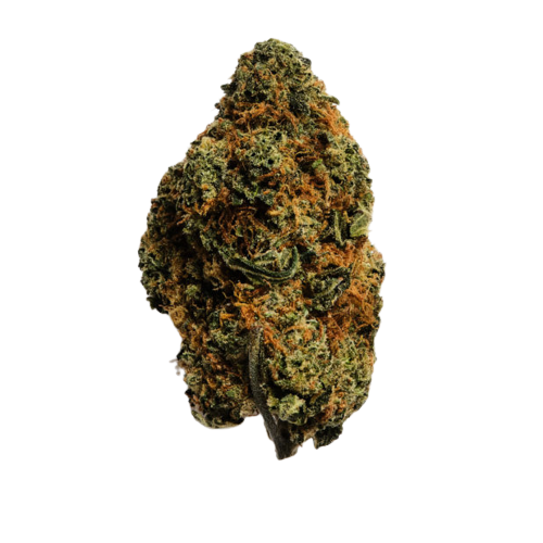 GAS MASK (indica)