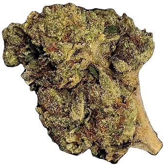 LEMON RUNTZ (hybrid)