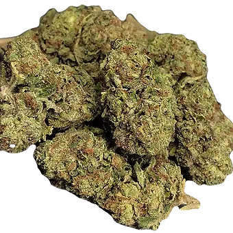 LEMON RUNTZ (hybrid)